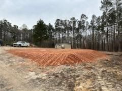 land clearing 10