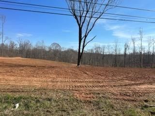 land clearing 11