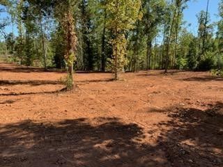 land clearing 19