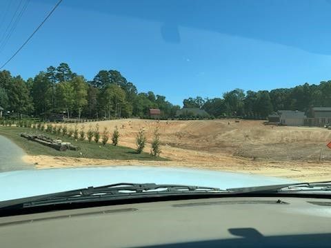 land clearing 14