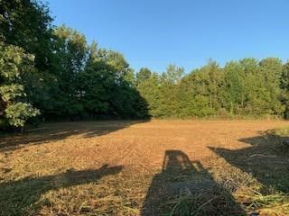 land clearing 15