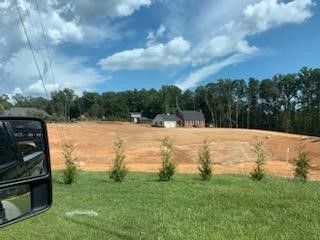 land clearing 16