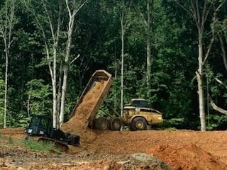 land clearing 17