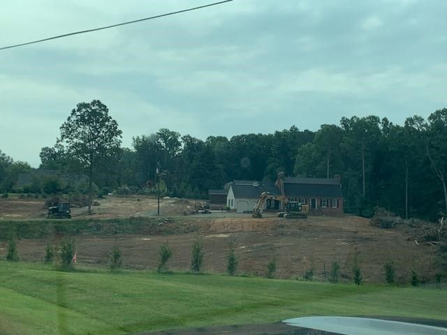 land clearing 19