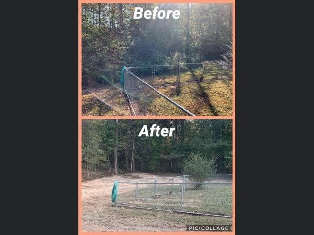 before and after land clearing 4