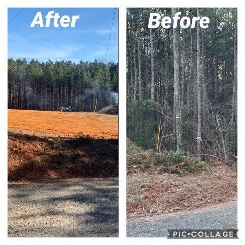 before and after
