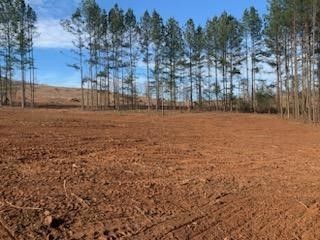 land grading 10