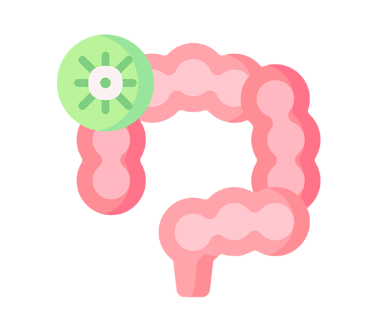 Ilustración de colon