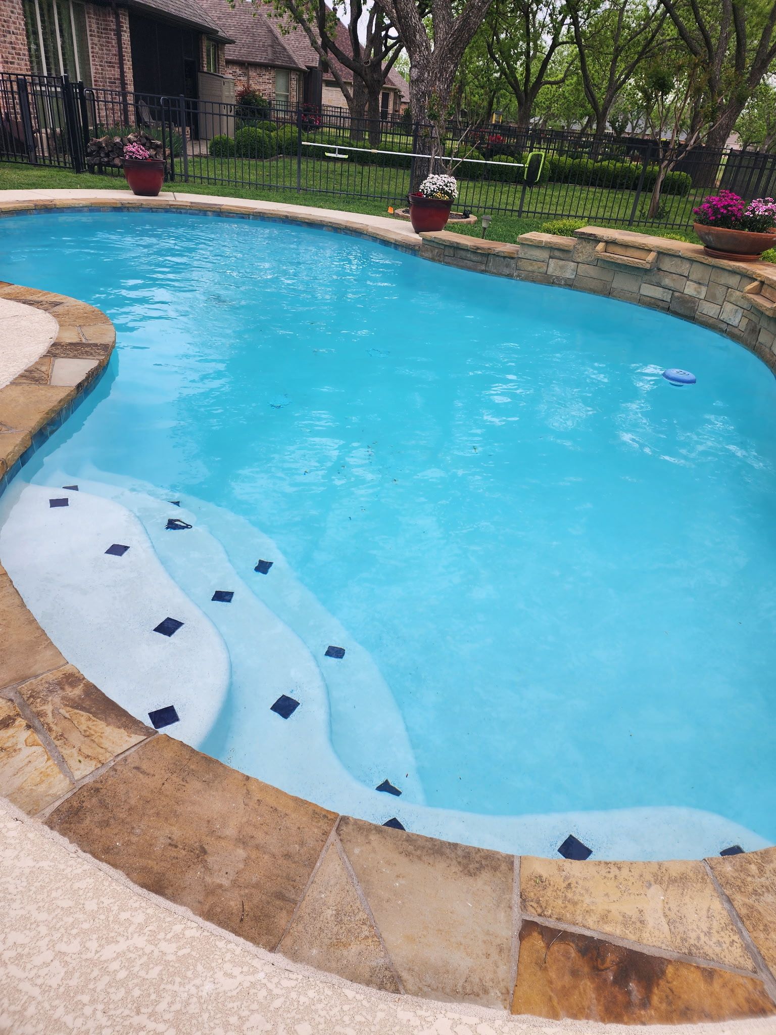 Curved blue swimming pool with stone edging and garden landscaping around it