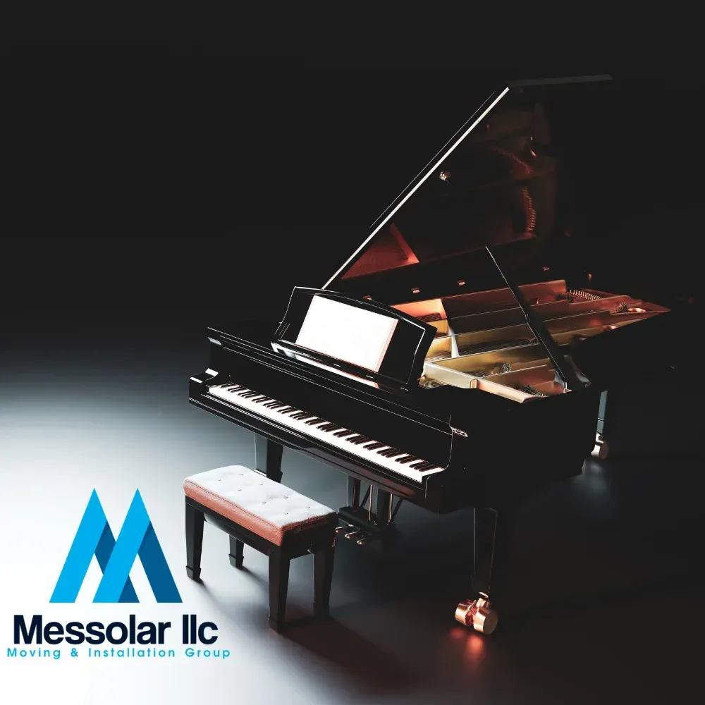 A black grand piano with a messolar llc logo behind it