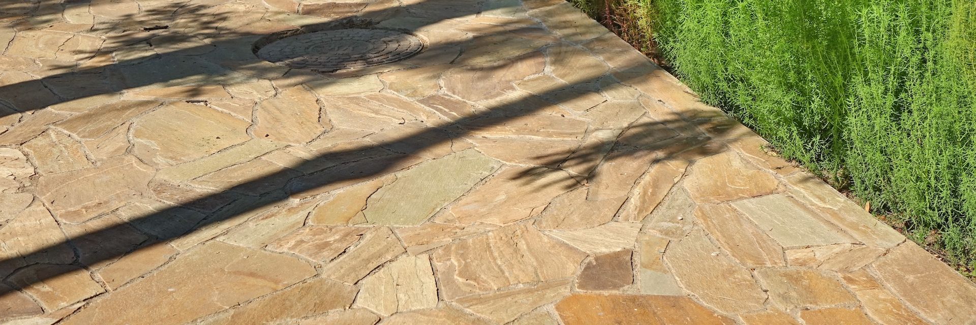 Stone patio with tree shadows beside a green hedge and sunlit walkway