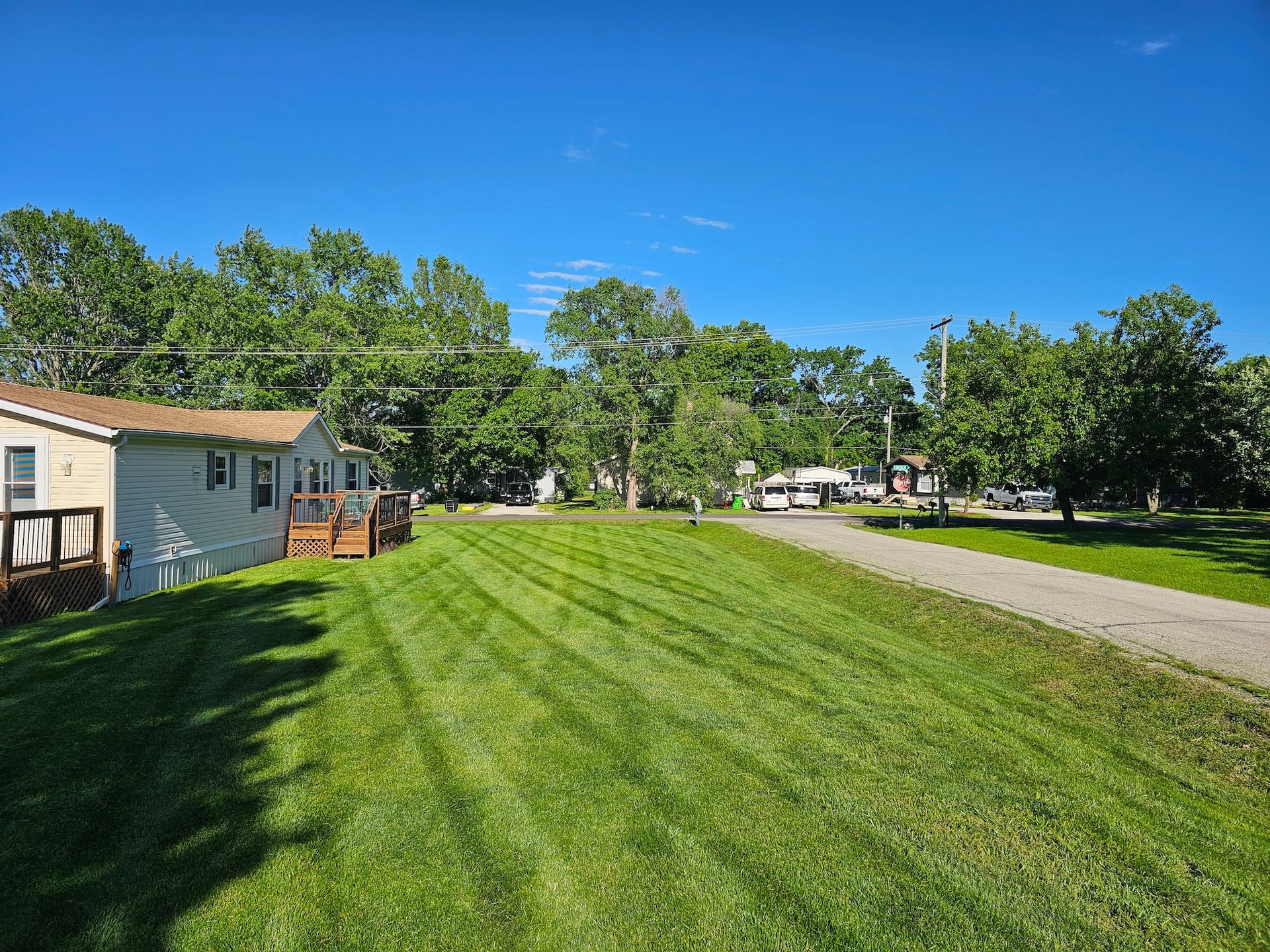 Suburban lawn beside a beige house, with a road, trees, and clear blue sky