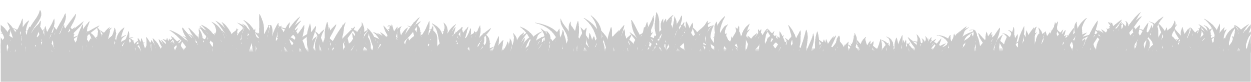 Abstract gray and white vertical lines, creating a visual texture or pattern.