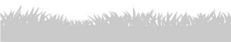 Gray silhouette of grass against a white background.