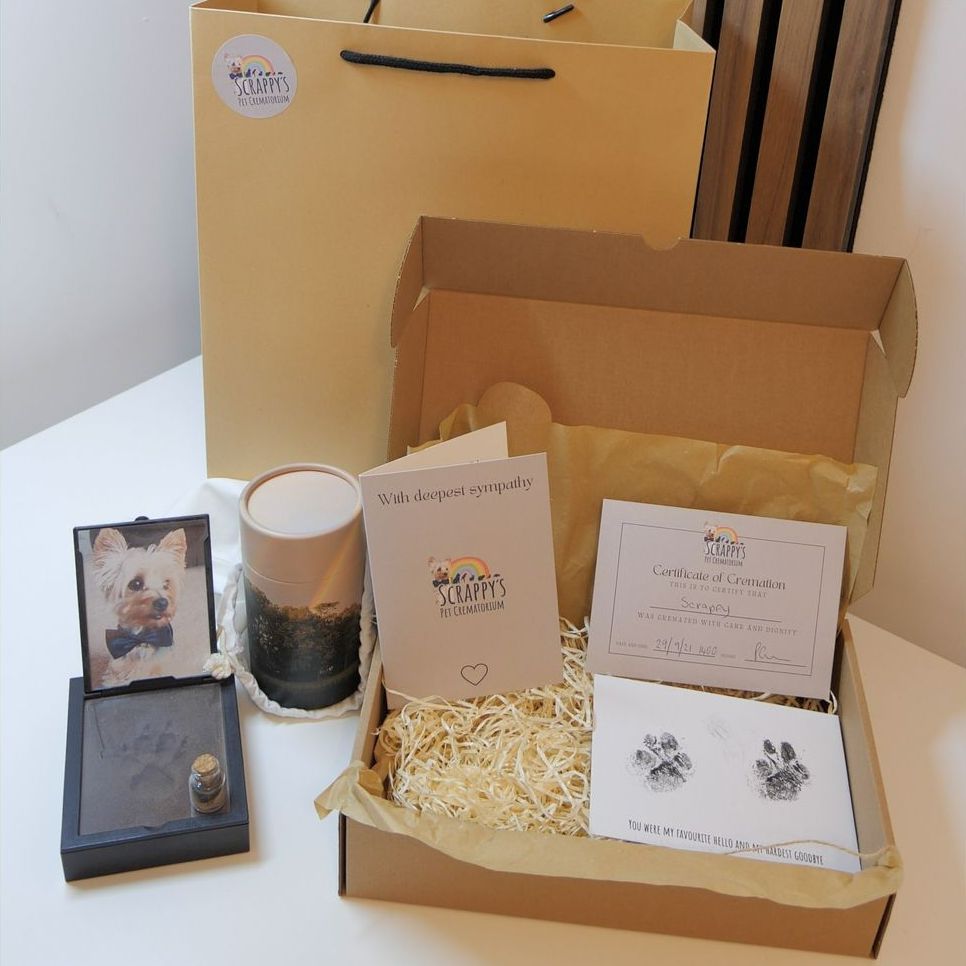 Gift box with pet memorial items: paw print casts, photo frame, urn, and cards.