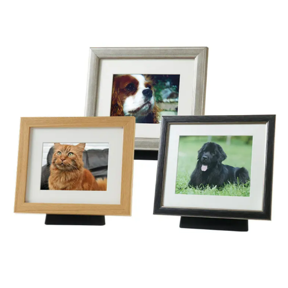 Three framed photos of pets: cat, dog, and black dog, in a light wood, silver, and black frame.