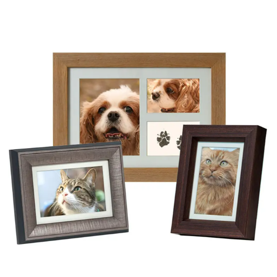 Three pet photo frames: Dog and cat photos, paw prints, various frame colors.