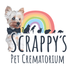Yorkshire Terrier in bow tie; rainbow; silhouettes of pets; 