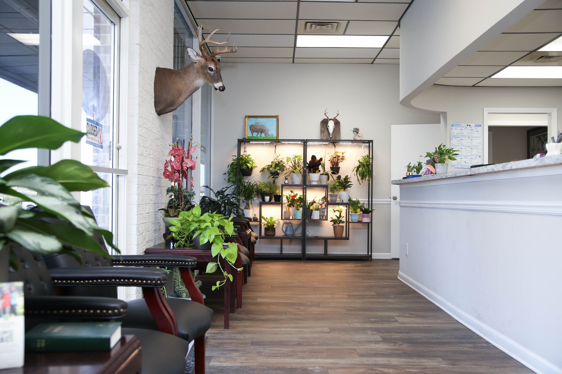 Ocoee Dental Care