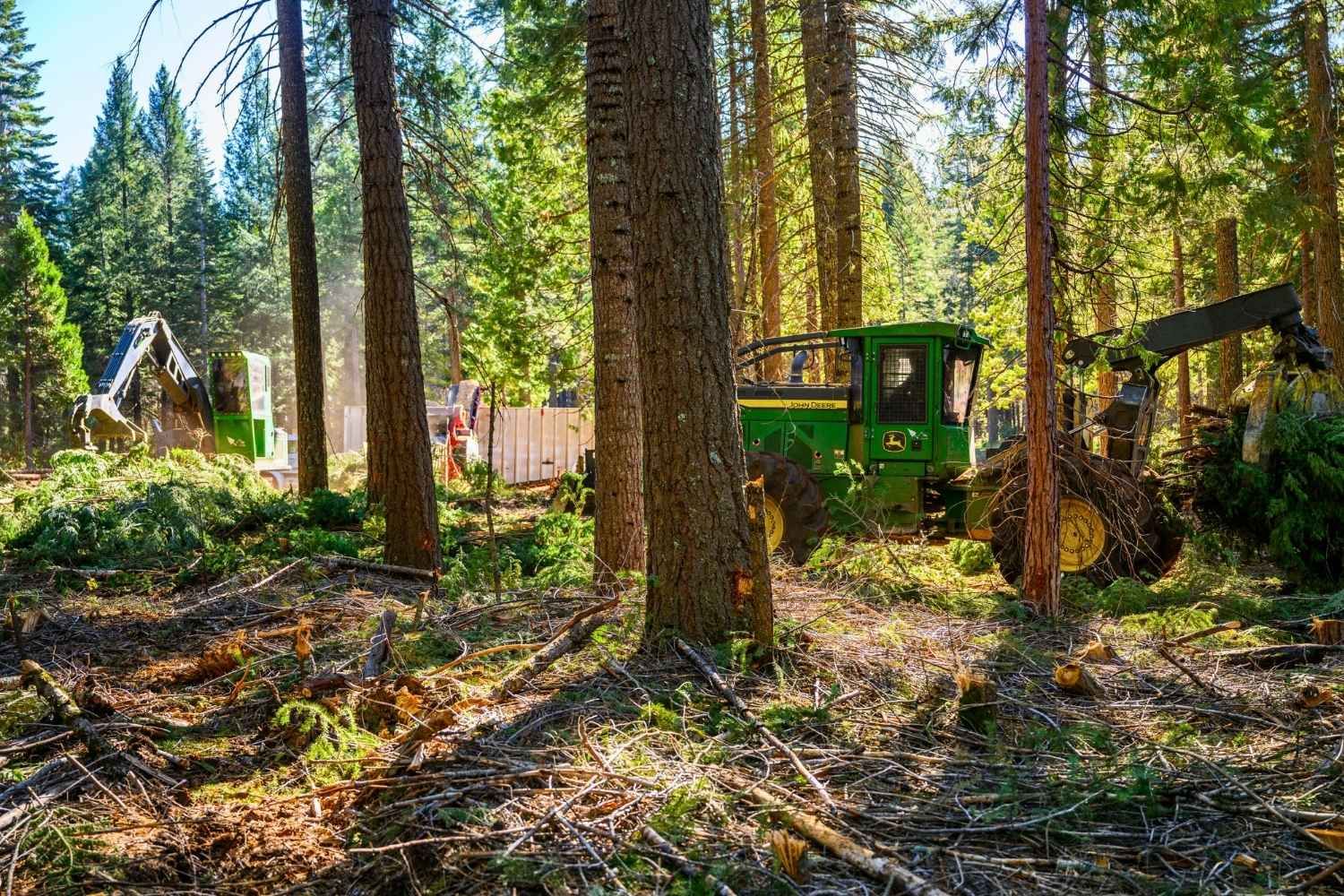 Fuel Reduction & Wildfire Prevention | Peterson Timber Northern California