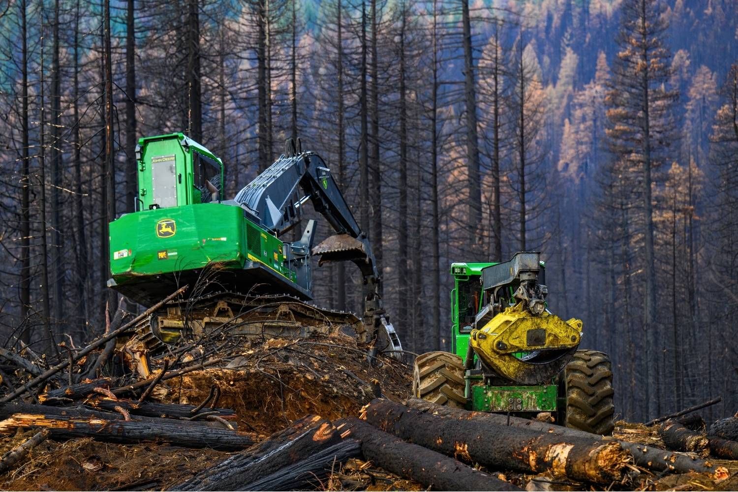 Peterson Timber | North California Logging & Forest Management