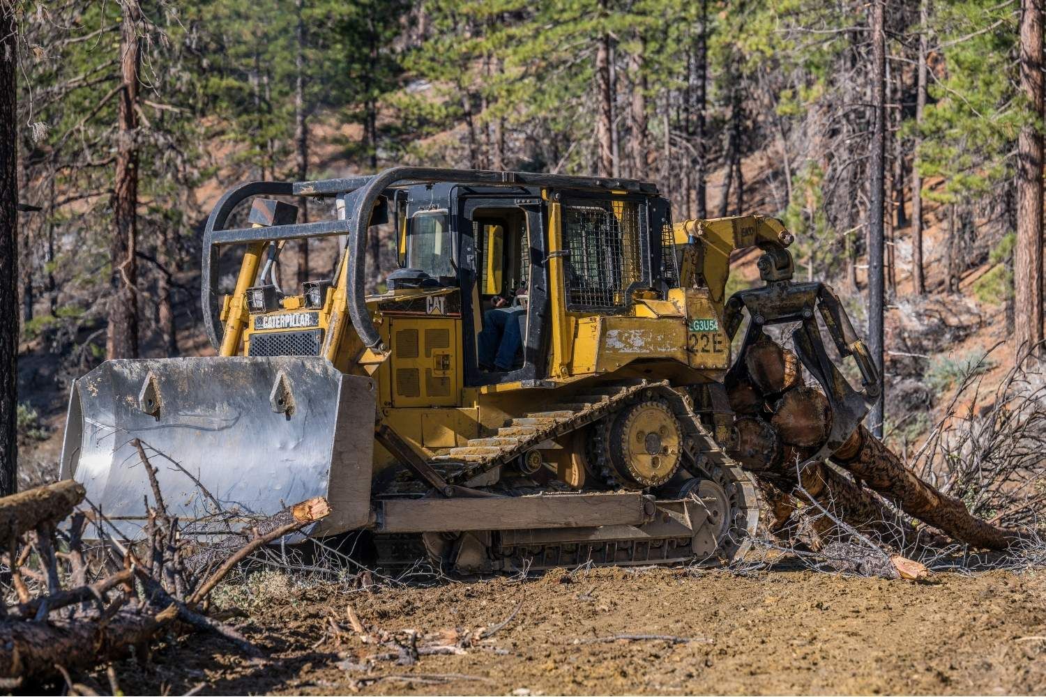 Logging & Timber Services | Peterson Timber Northern California