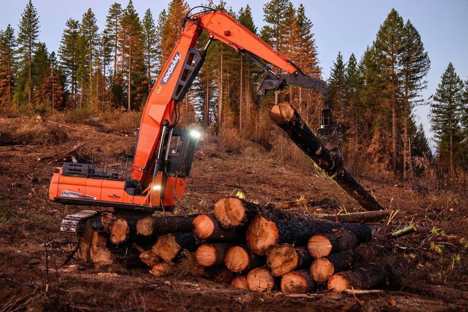 Logging & Timber Services | Peterson Timber Northern California