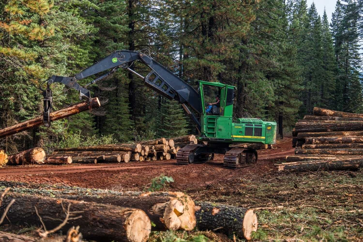 About Peterson Timber | Logging & Forest Management in Northern California