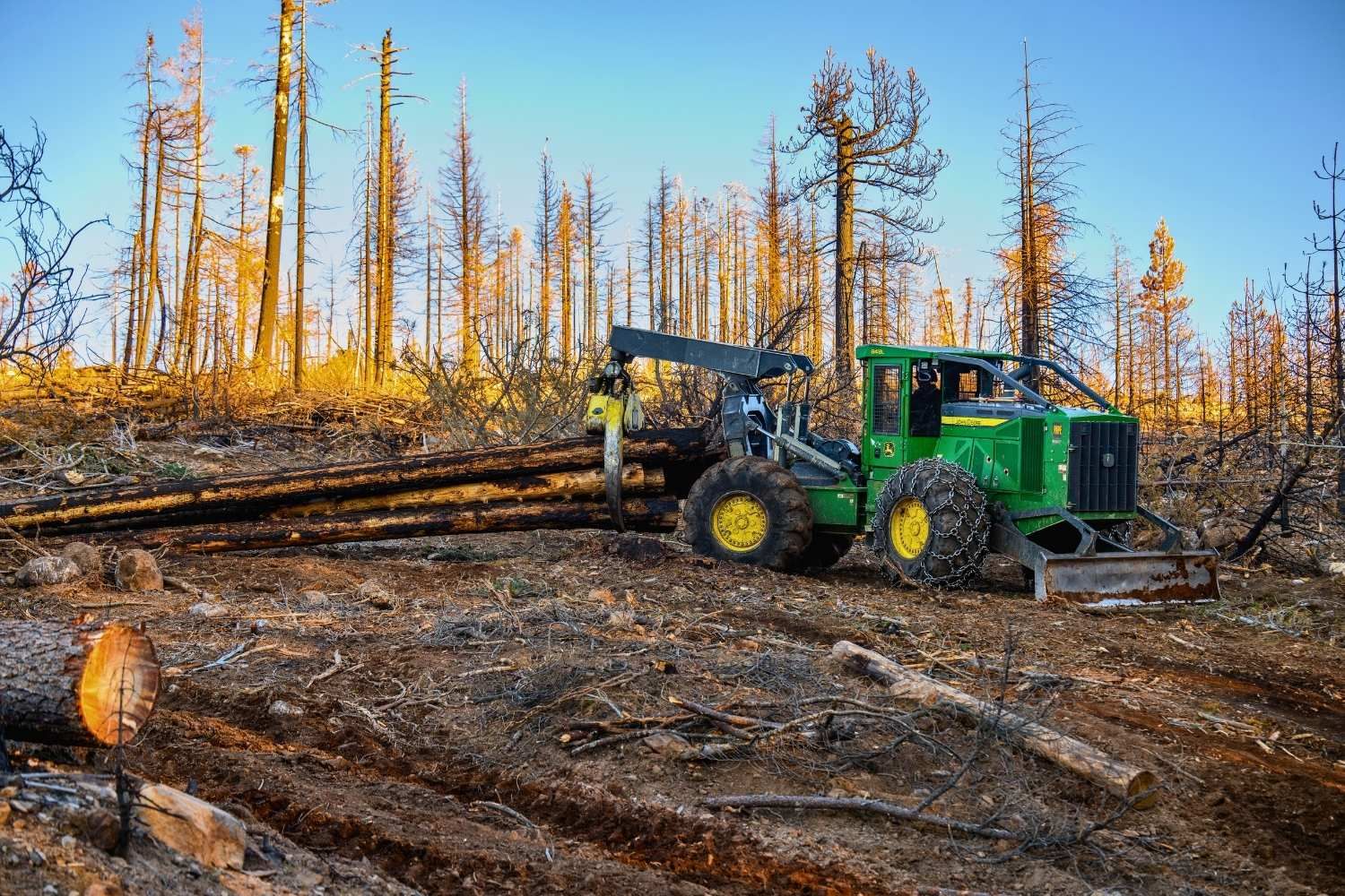 About Peterson Timber | Logging & Forest Management in Northern California