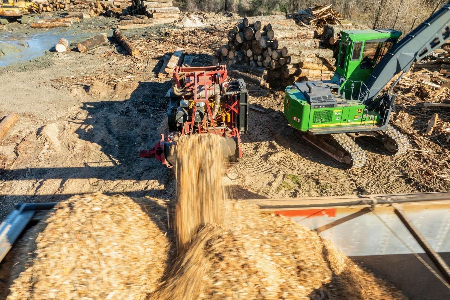 Peterson Timber | North California Logging & Forest Management