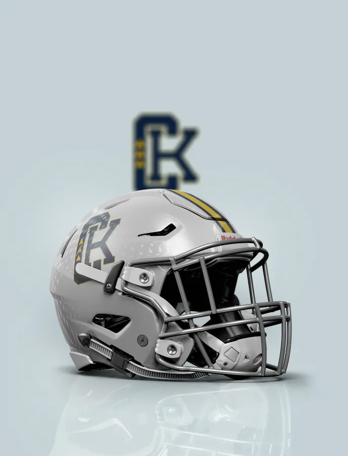 Silver football helmet with face mask, featuring a black-and-gold logo on a light background.