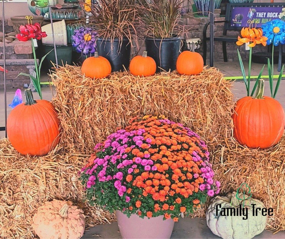 Pumpkins and flowers are displayed on bales of hay