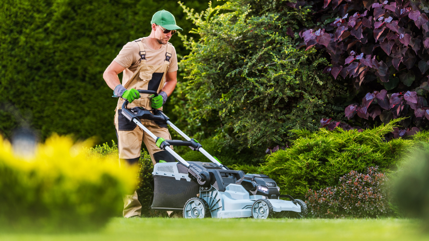 Person in work clothes mowing a grassy lawn with a green and gray lawnmower next to shrubs.