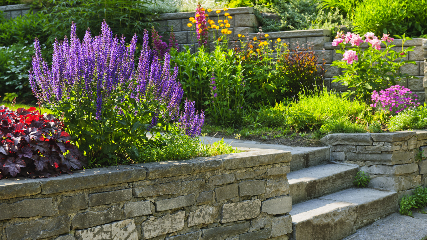 There are many different types of flowers in the garden. - landscape design