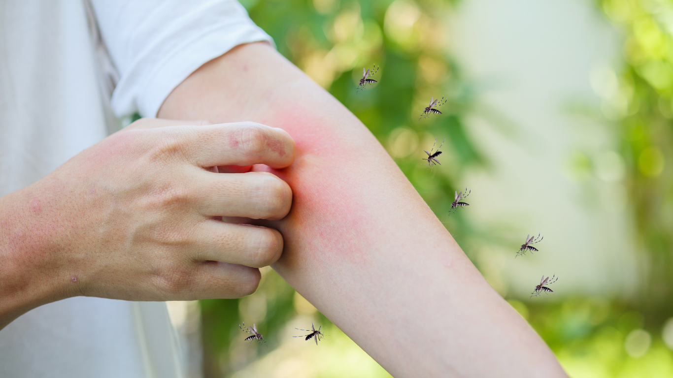 A person is scratching their arm with a mosquito biting them.
