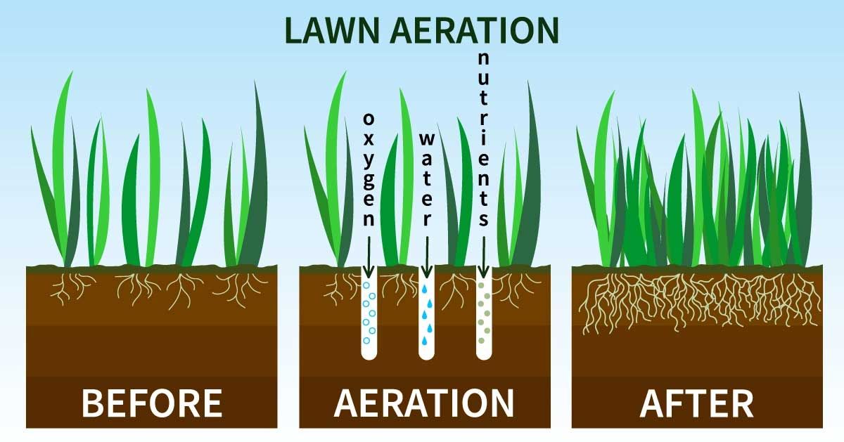 Lawn aeration: before, during (oxygen, water, nutrients injected), and after, showing improved root health.