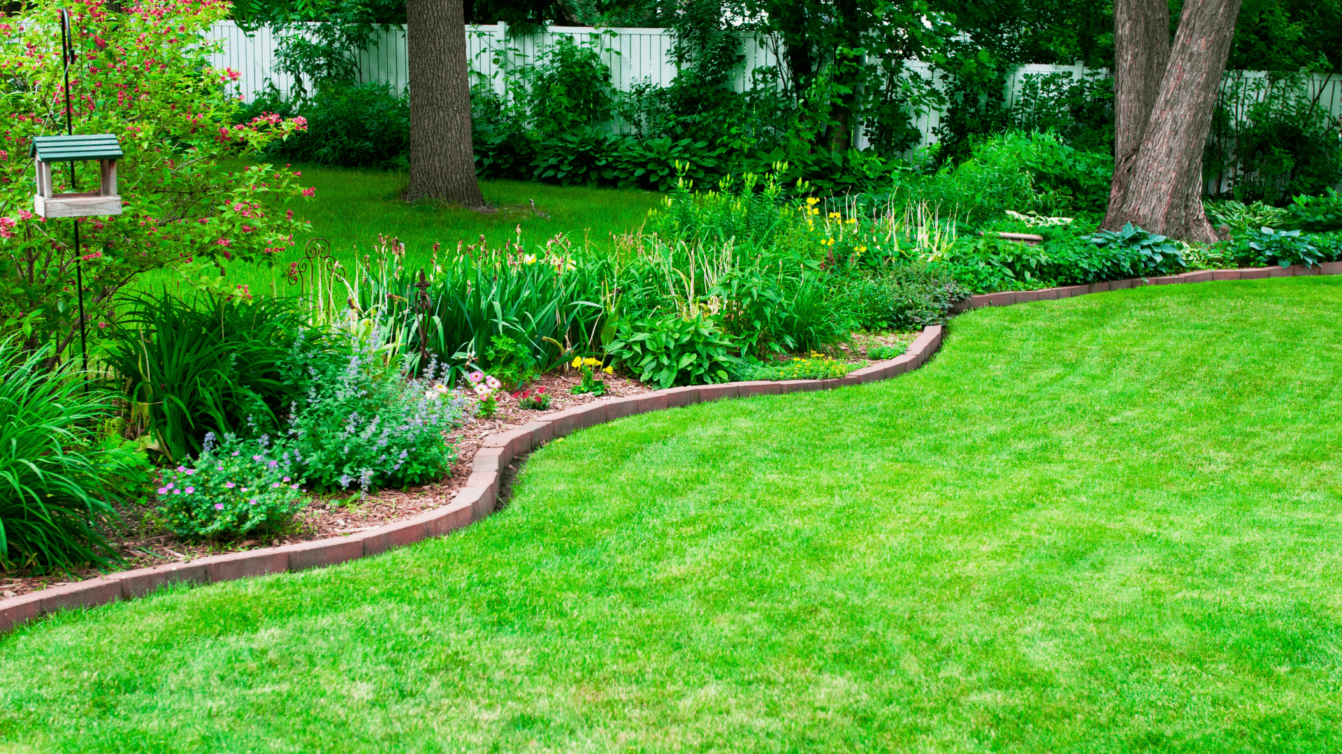Lush green lawn with a curving flower bed edged with brick, featuring various green plants and small trees.