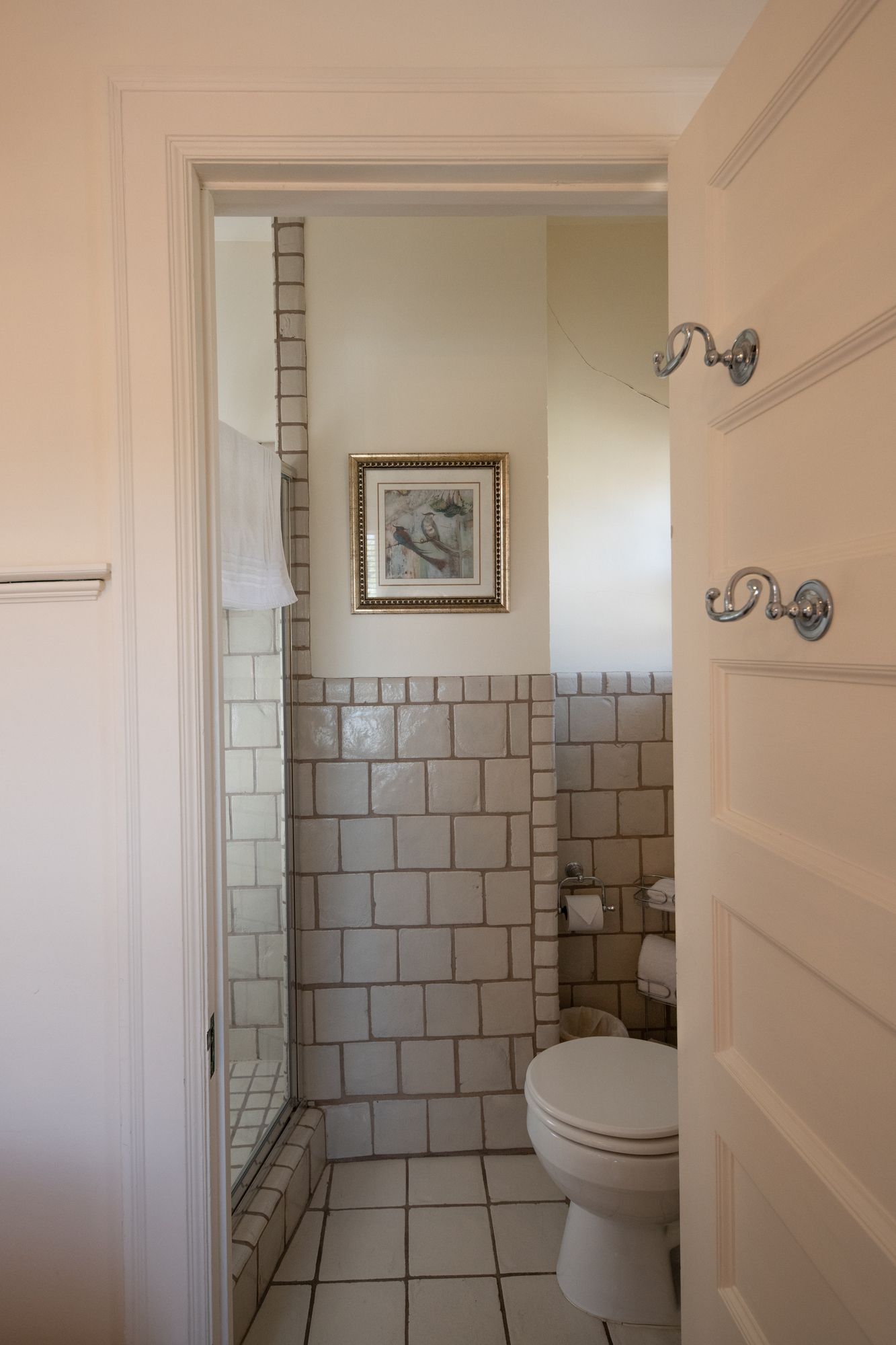A bathroom with a toilet , shower and a picture on the wall.