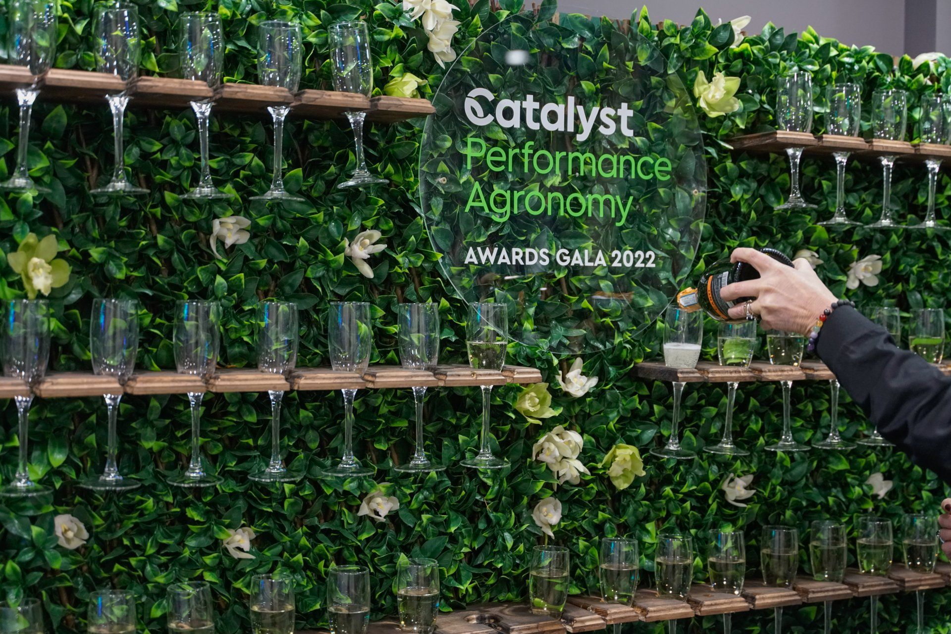 Catalyst performance awards 2022