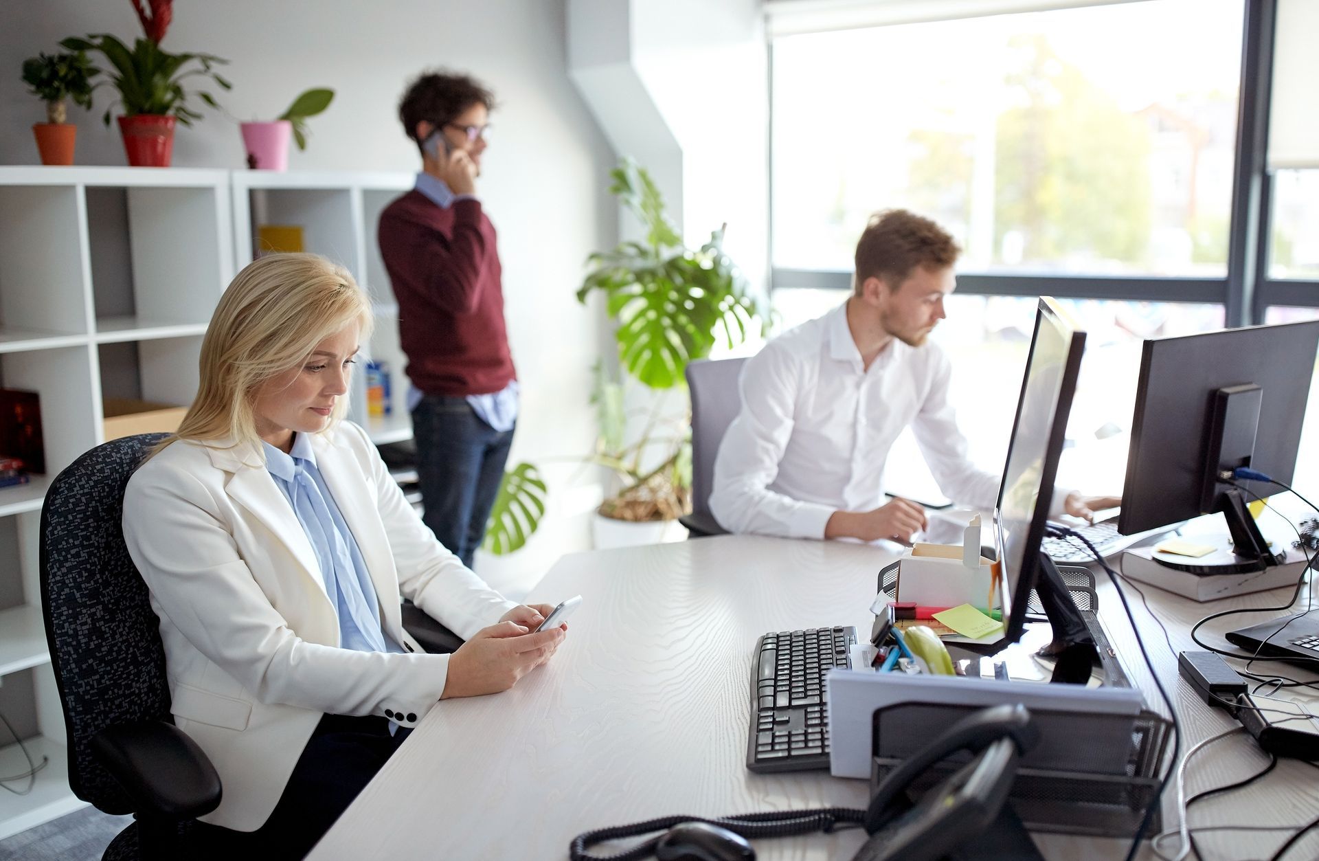 Office team working at desks in a bright modern workspace, with computers and potted plants.