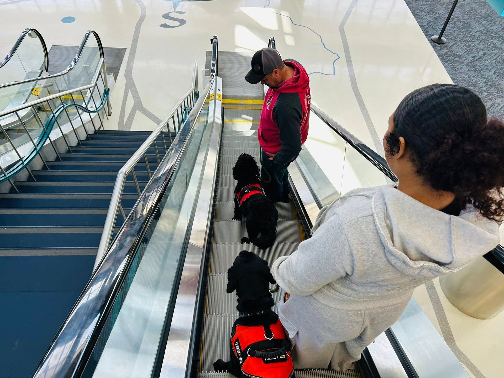 Two people and a small dog ride down an escalator in a bright indoor mall.