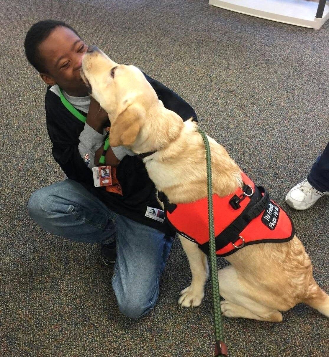Person kneeling indoors while a yellow service dog in a red vest licks their face