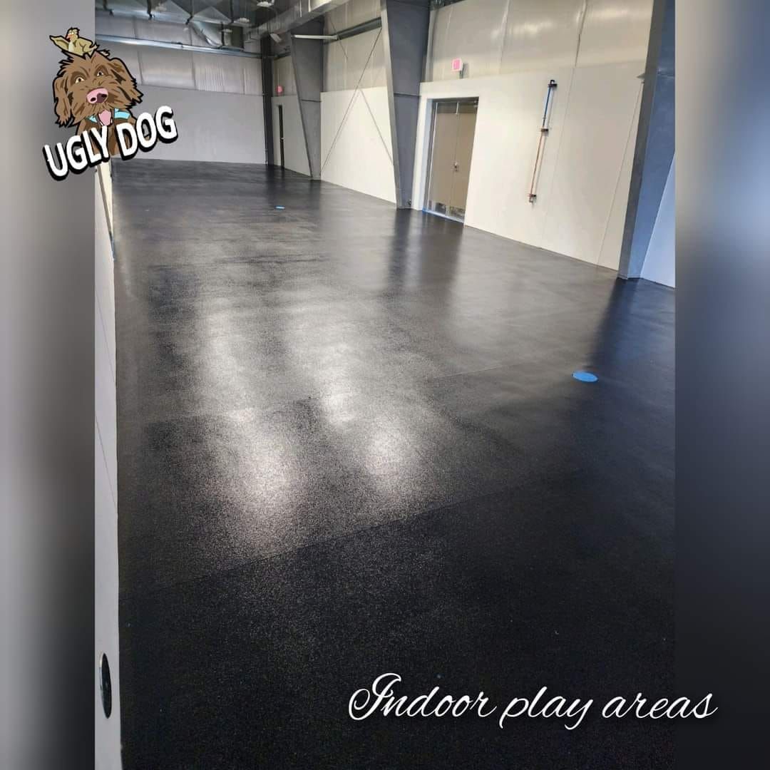 Empty black indoor dog play area with glossy floor and white walls