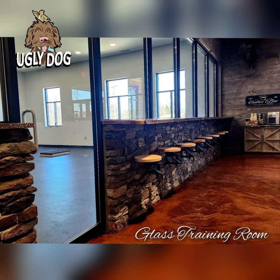 Glass training room with stone half-wall, blue floor, and the text “Ugly Dog.”