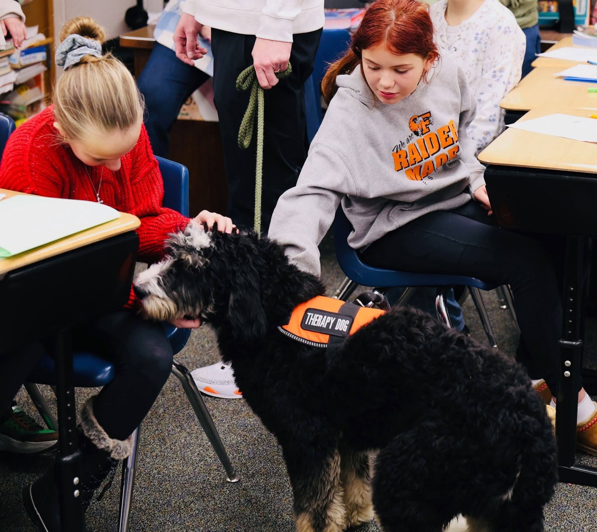 Therapy dog in orange vest interacting with students in a classroom, one girl reaching to pet it.