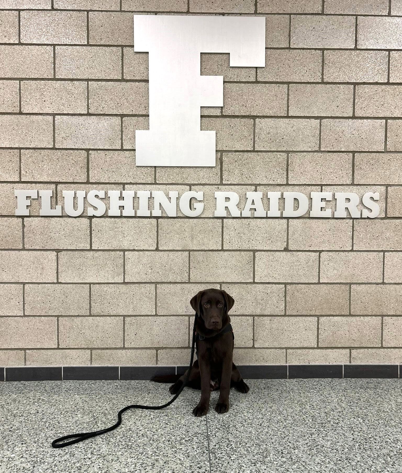 Black dog sitting on a leash in front of a wall with a large “F” and “FLUSHING RAIDERS” sign.