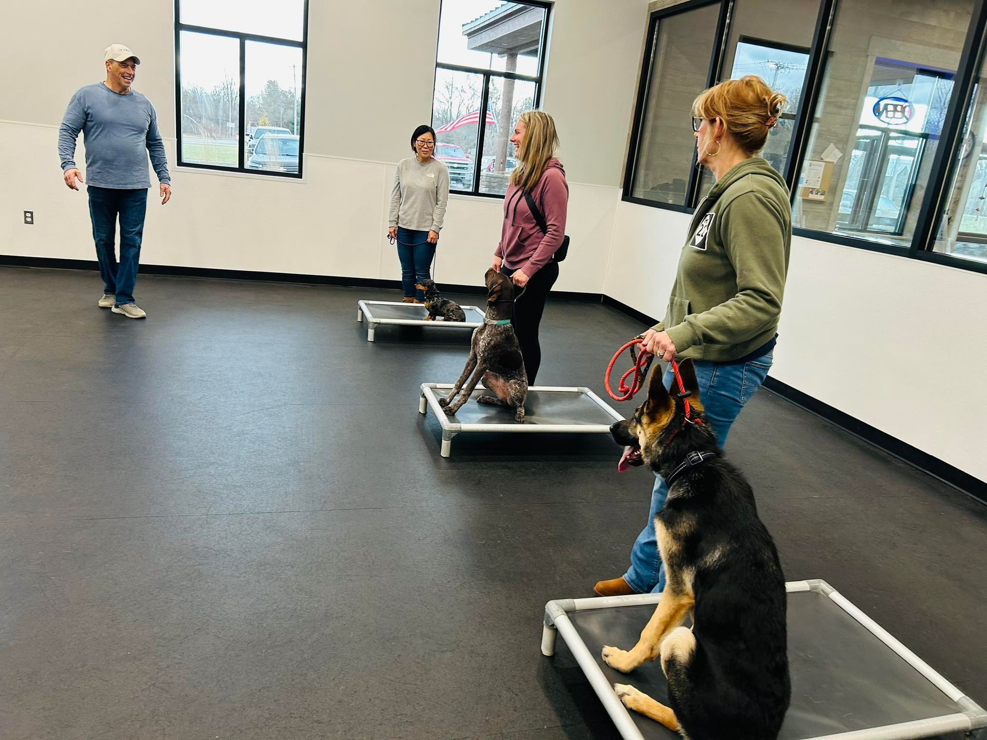 People with dogs training in a bright indoor room with windows and raised platforms