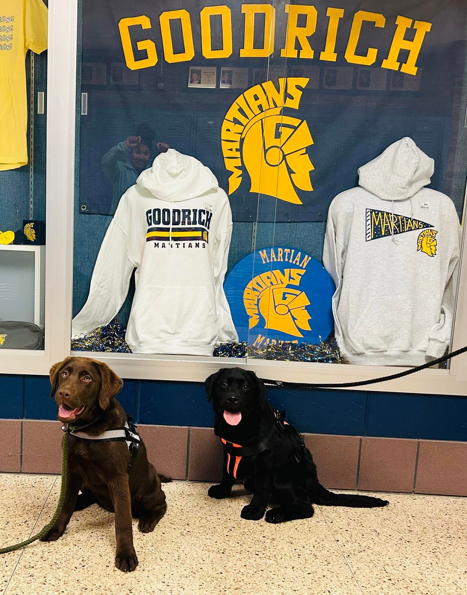 Two dogs sitting in front of a Goodrich display with white hoodies and a blue-and-gold logo backdrop