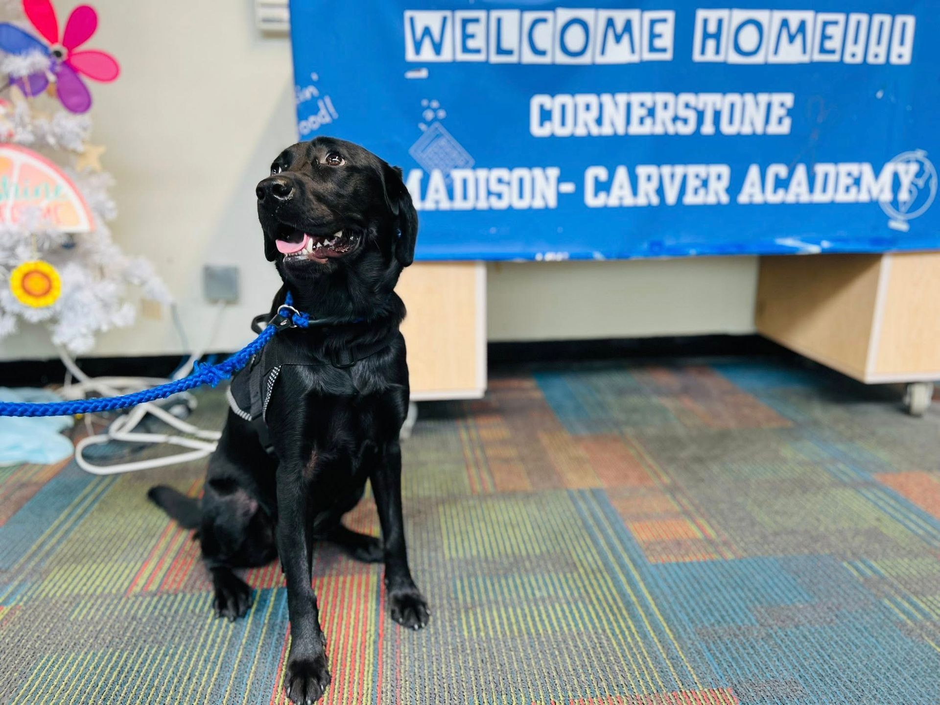 Black dog sitting in front of a blue “Welcome Home” Madison-Carver Academy sign