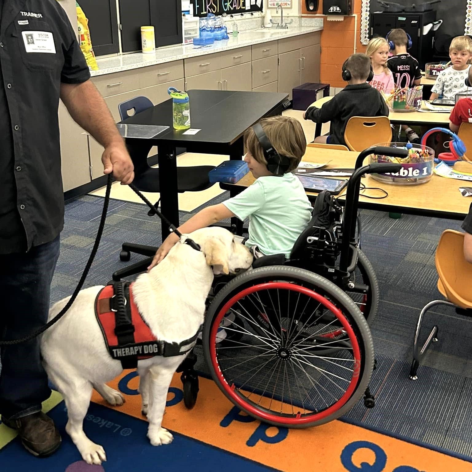 Service dog in red vest standing beside a child in a wheelchair at a classroom table